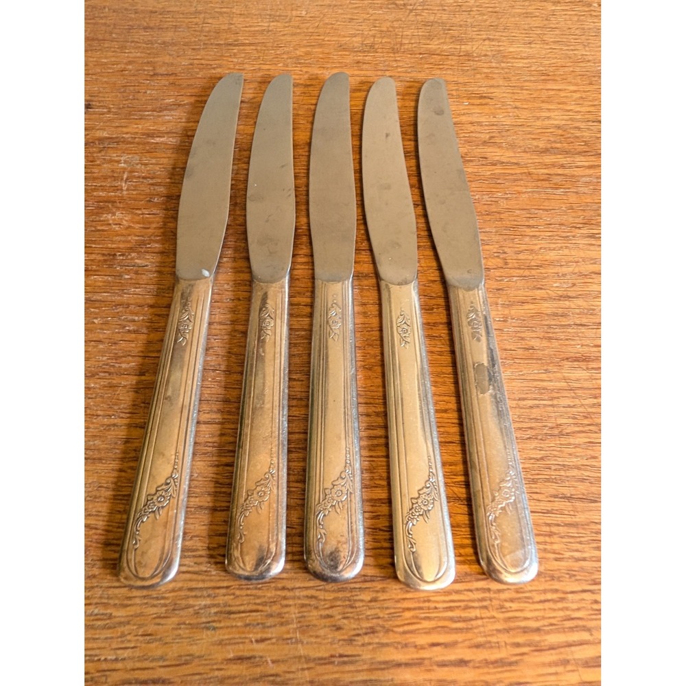 Vintage Tudor Stainless Floral Scroll Dinner Knives Set of 5 Flatware Silverware